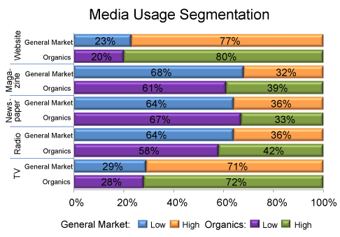 Media Usage Segment