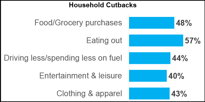 Household Cutbacks